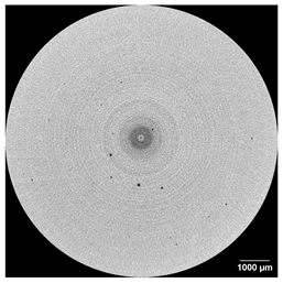 Applsci 15 09876 i003