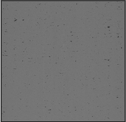 Applsci 15 09876 i004