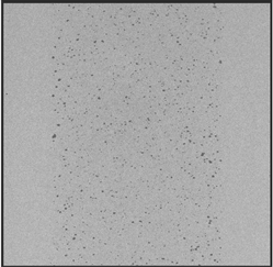 Applsci 15 09876 i005