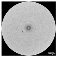 Applsci 15 09876 i010