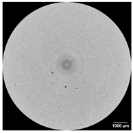 Applsci 15 09876 i011