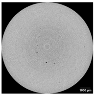 Applsci 15 09876 i012