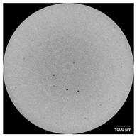 Applsci 15 09876 i013