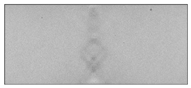 Applsci 15 09876 i015