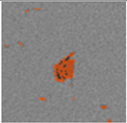 Applsci 15 09876 i022