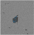 Applsci 15 09876 i023