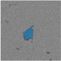 Applsci 15 09876 i024