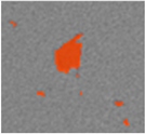 Applsci 15 09876 i026