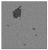 Applsci 15 09876 i032
