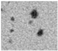Applsci 15 09876 i034