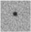 Applsci 15 09876 i035