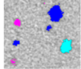 Applsci 15 09876 i038