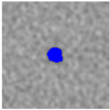 Applsci 15 09876 i039