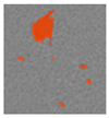 Applsci 15 09876 i040
