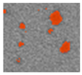 Applsci 15 09876 i042