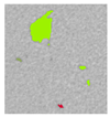 Applsci 15 09876 i052