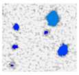 Applsci 15 09876 i058