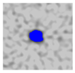 Applsci 15 09876 i059