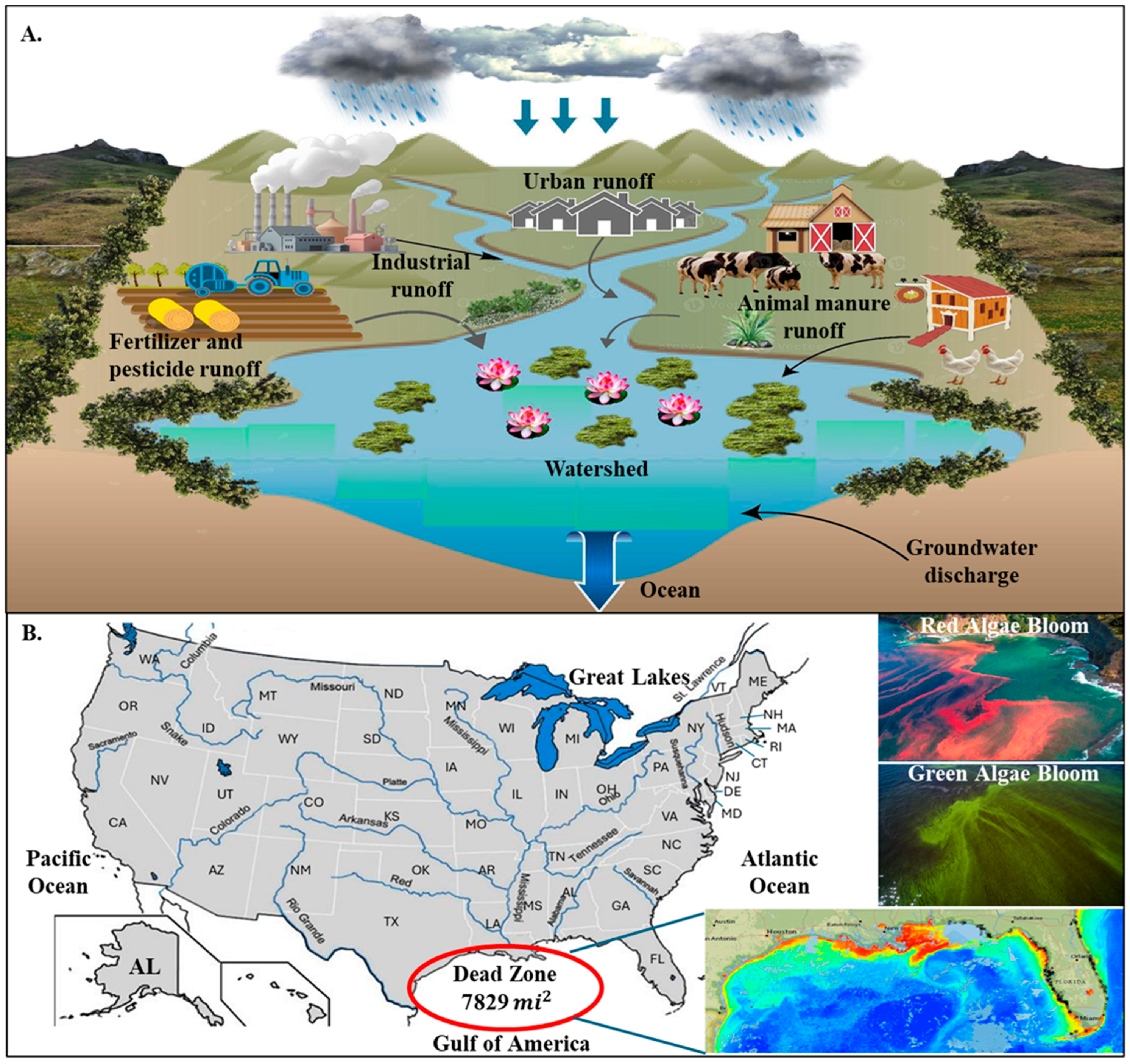 Applsci 15 09896 g001