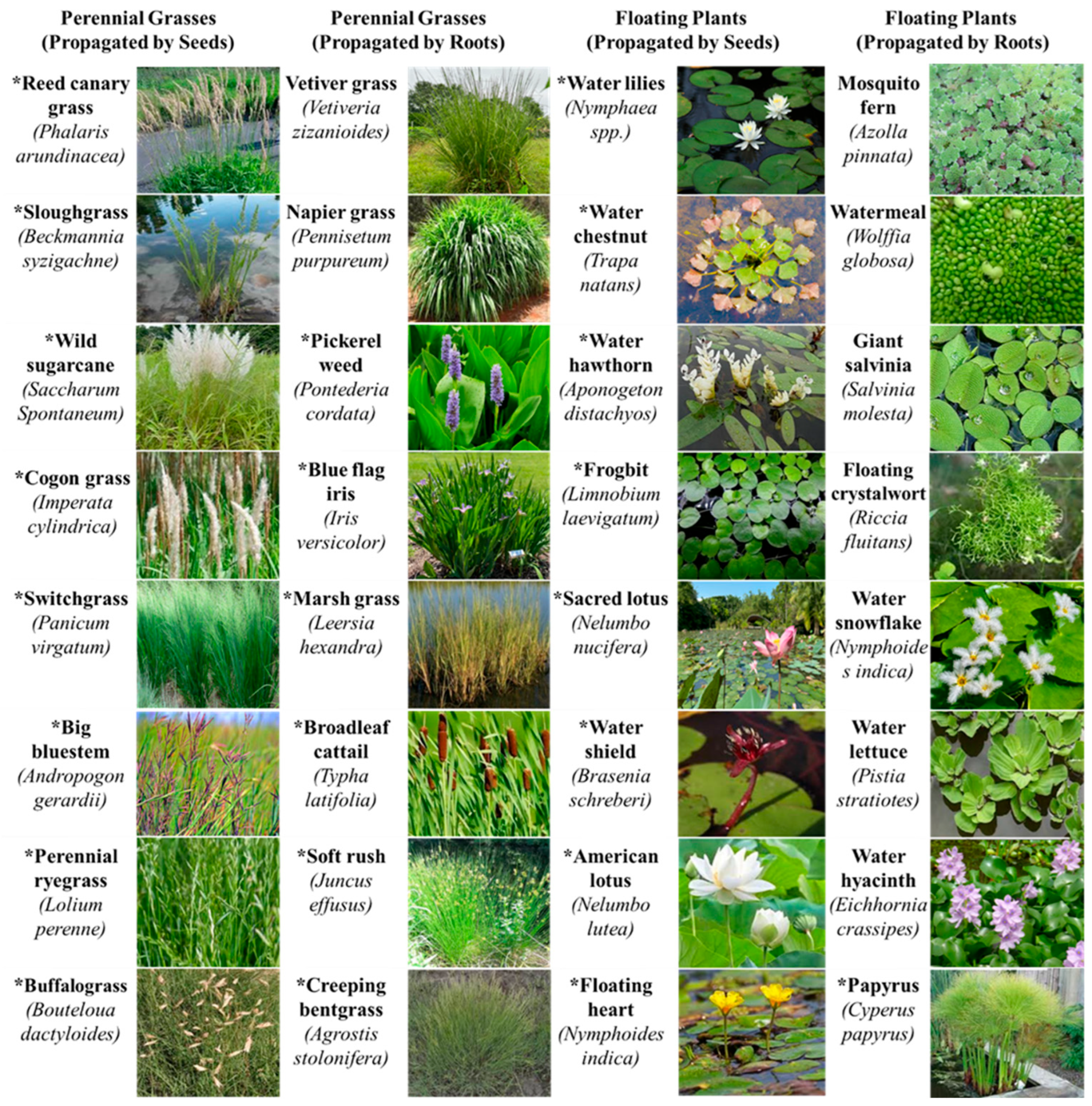 Applsci 15 09896 g005