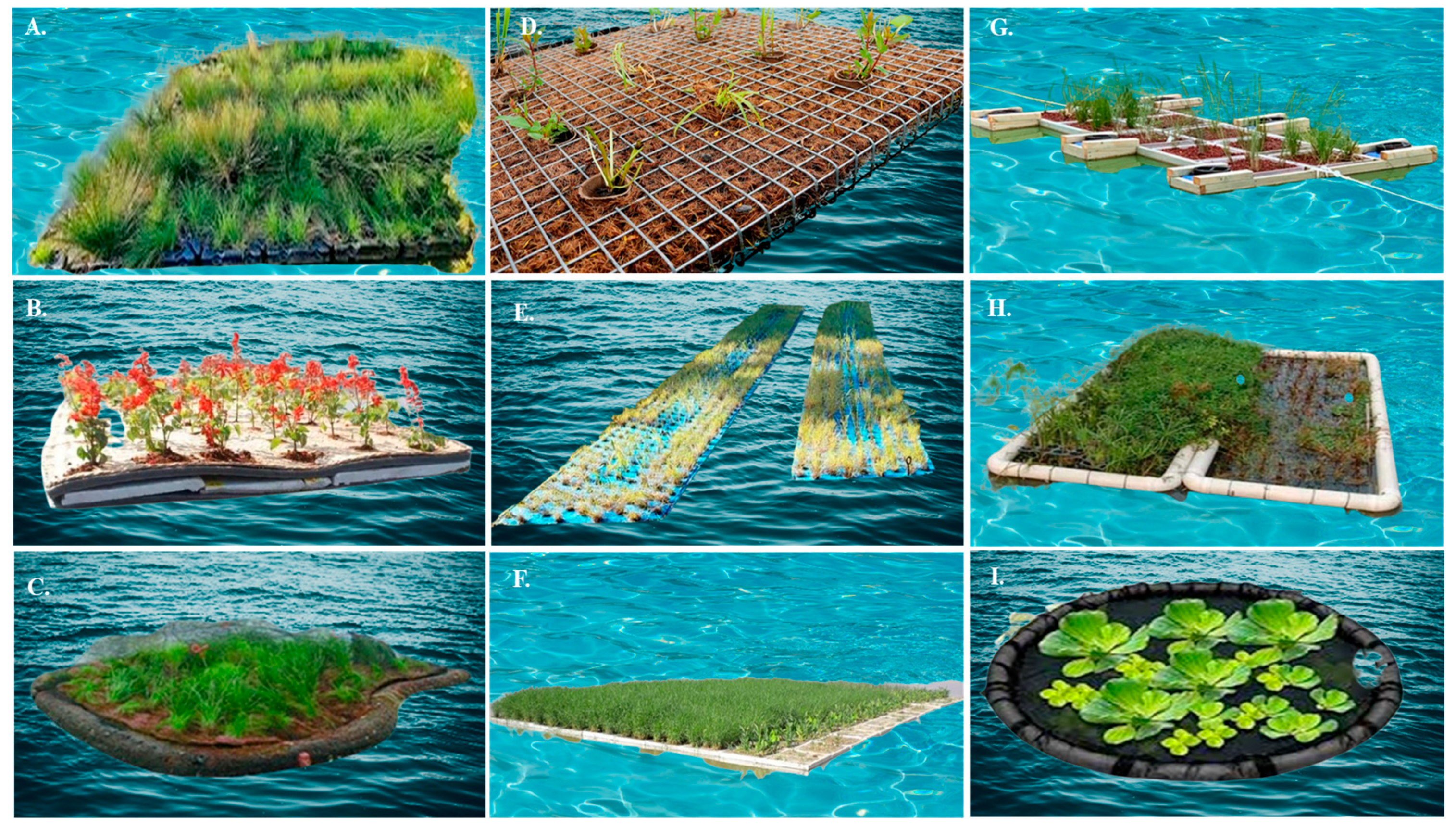 Applsci 15 09896 g006