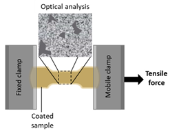 Applsci 15 09968 i008 Applsci 15 09968 i008
