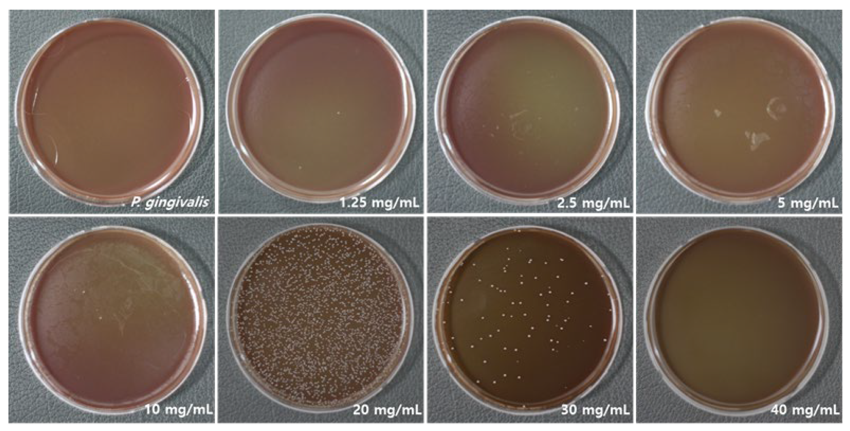 Applsci 15 09969 g001 Applsci 15 09969 g001