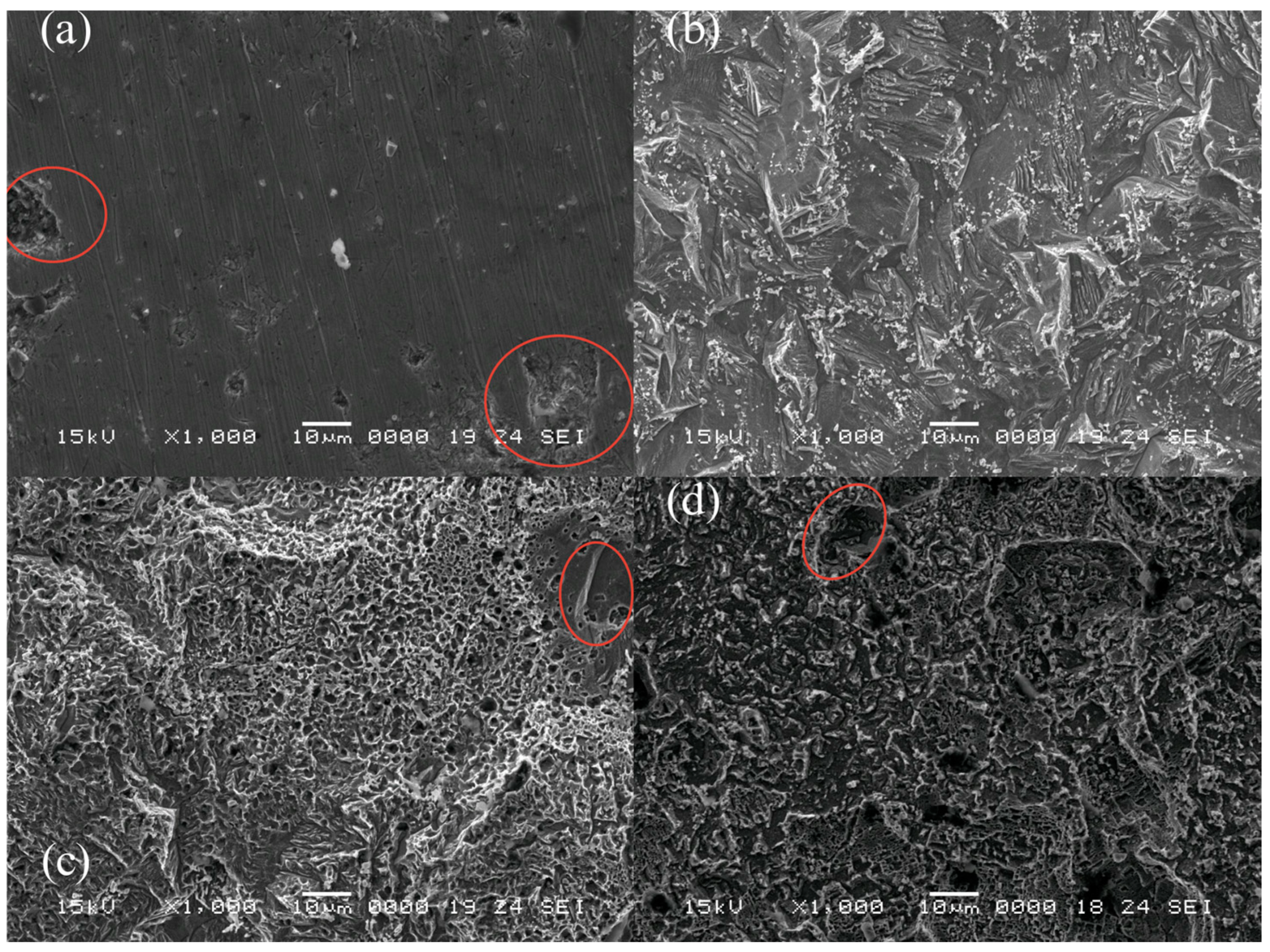 Applsci 15 09983 g009