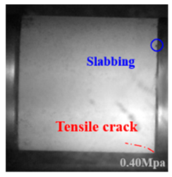 Applsci 15 09995 i003