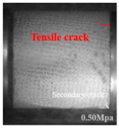 Applsci 15 09995 i007