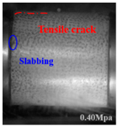 Applsci 15 09995 i009