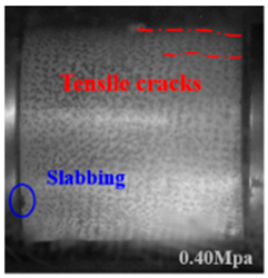 Applsci 15 09995 i010