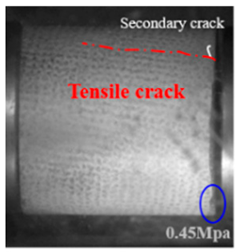 Applsci 15 09995 i012