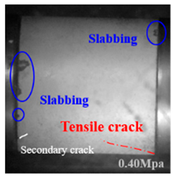 Applsci 15 09995 i013