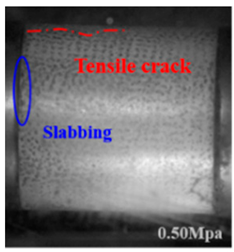 Applsci 15 09995 i014