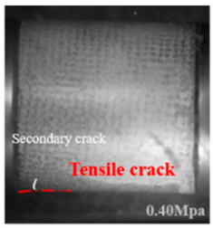 Applsci 15 09995 i016