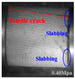 Applsci 15 09995 i017