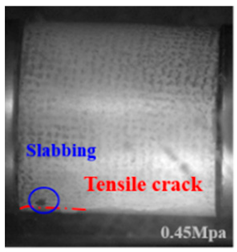 Applsci 15 09995 i019