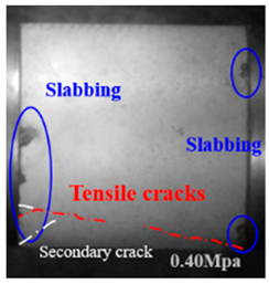 Applsci 15 09995 i020