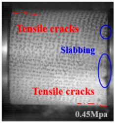 Applsci 15 09995 i024