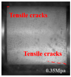 Applsci 15 09995 i025