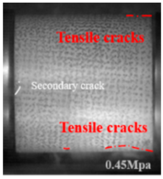 Applsci 15 09995 i026