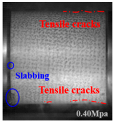 Applsci 15 09995 i031