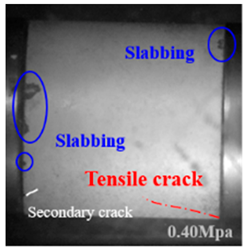 Applsci 15 09995 i033