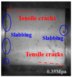 Applsci 15 09995 i035