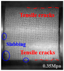 Applsci 15 09995 i036