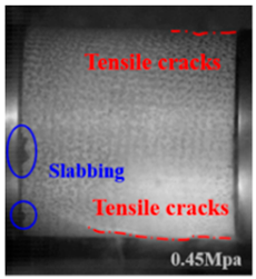 Applsci 15 09995 i037