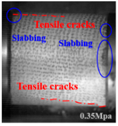 Applsci 15 09995 i039