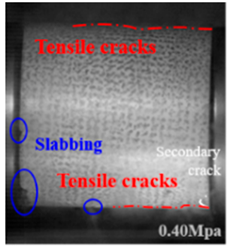 Applsci 15 09995 i041