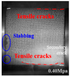 Applsci 15 09995 i042